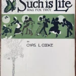 The Cuyler Mohawk On-Line Museum