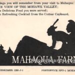 The Cuyler Mohawk On-Line Museum