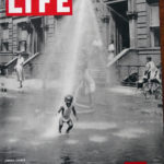 Protected: Magazines Related 1 &2  Trade Cards, Posters- 100 Hambone Meditations –  (scroll to bottom)